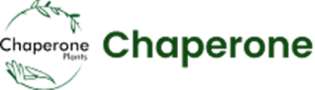 Chaperone Logo