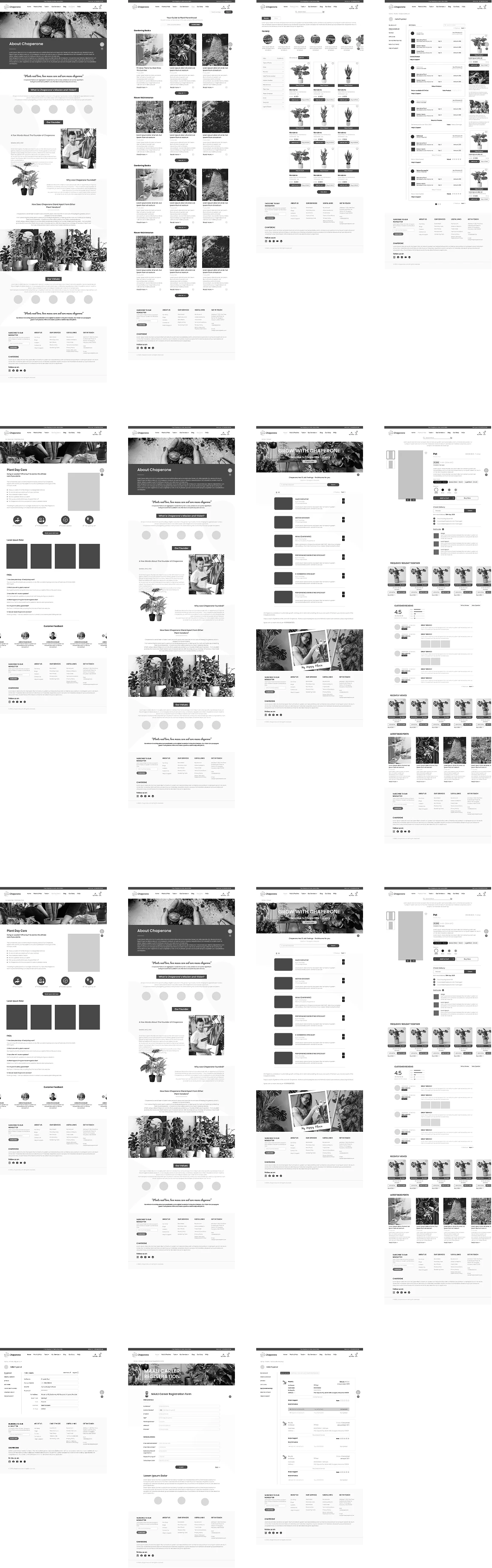 wireframe